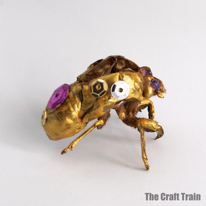 Cidada Shell Art - The Craft Train