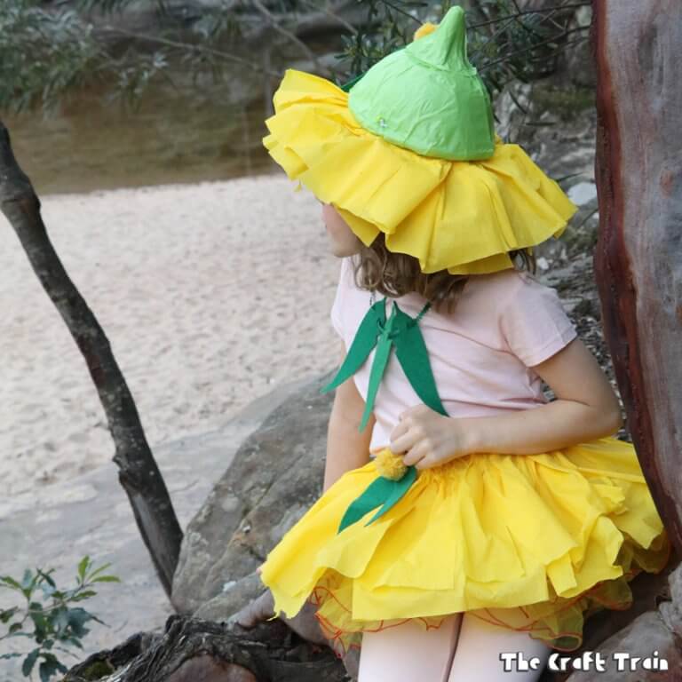 Easy gumnut baby costume from Snugglepot and Cuddlepie by May Gibbs