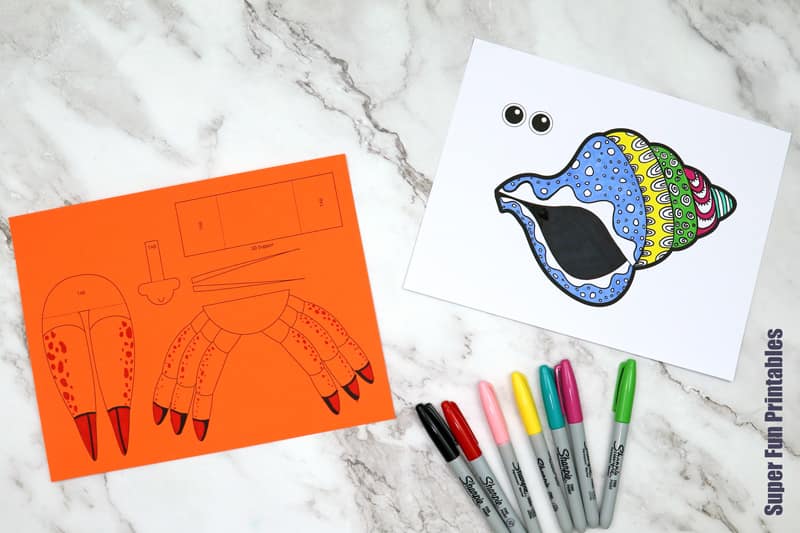 Hermit crab craft steps