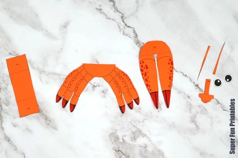 Hermit crab craft steps