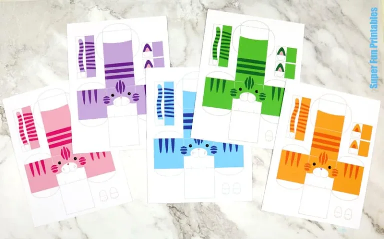 rainbow cube cats steps