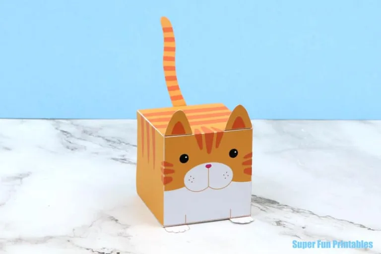 Cube cat in orange