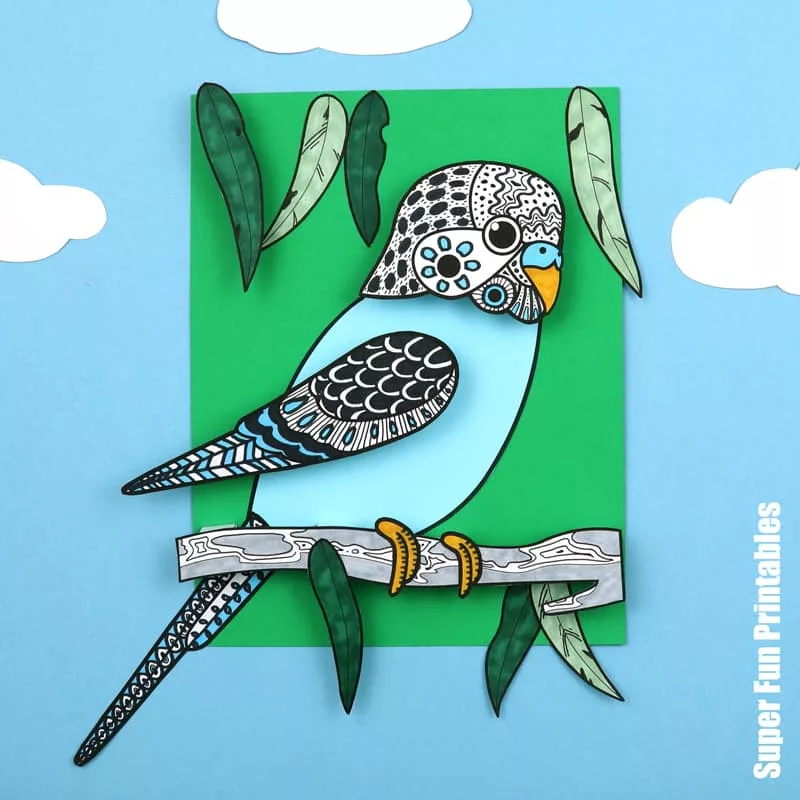3D Budgerigar cragt for kids