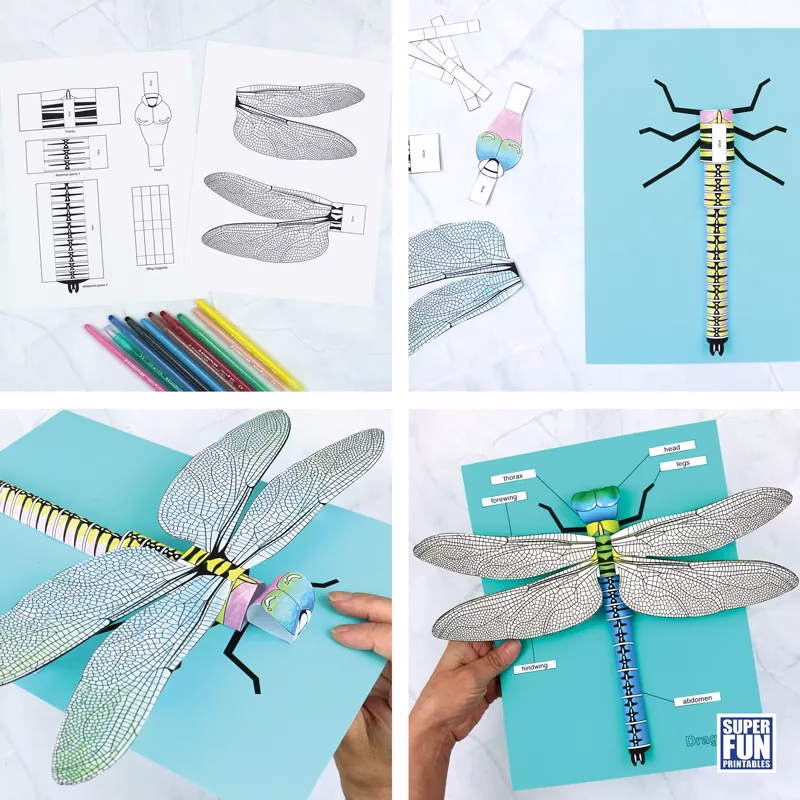 Dragonfly craft for kids