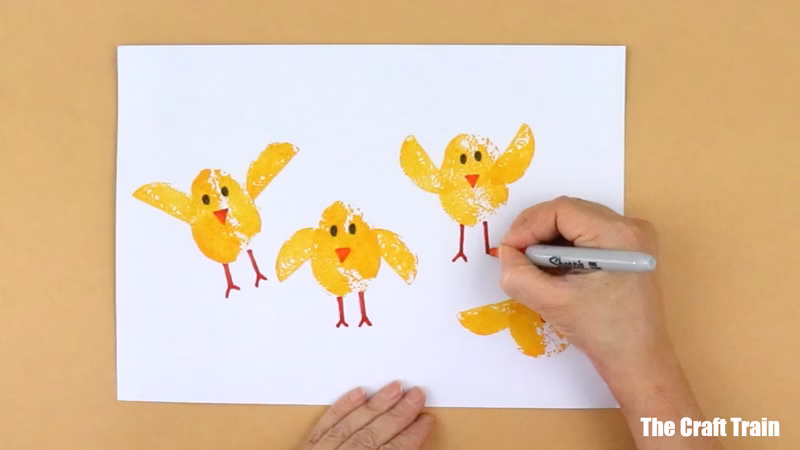 drawing details on the chick.
