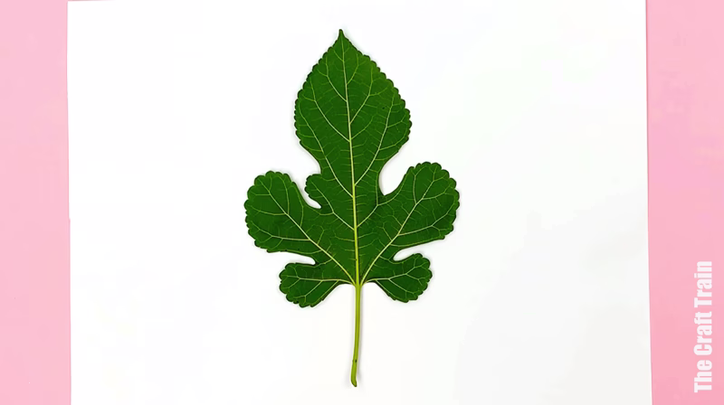 Leaf printing