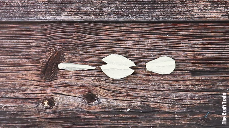 egg carton dove steps