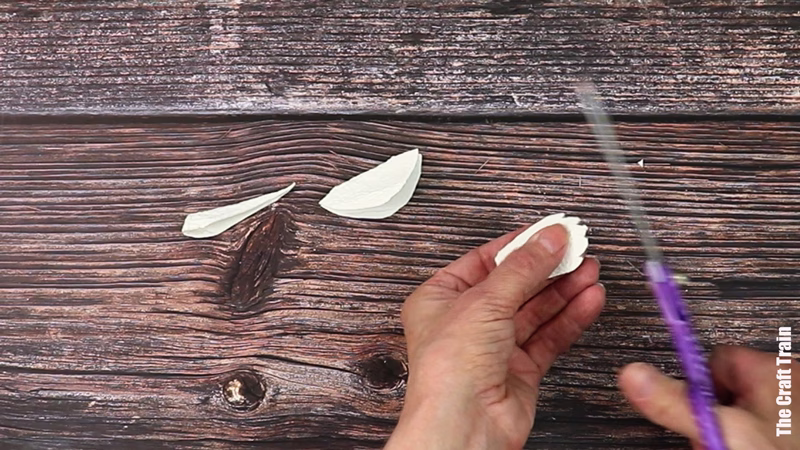 egg carton dove steps