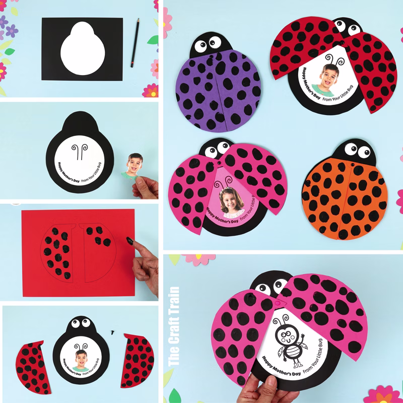 Mother's Day ladybug card