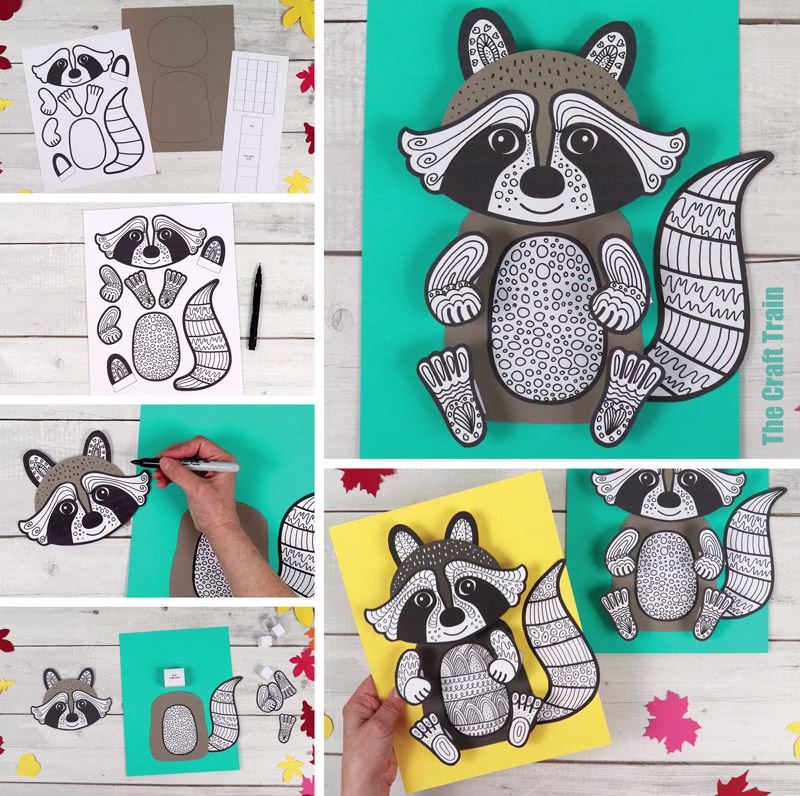 3D Pattern Art Raccoon